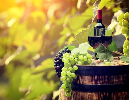 Wine tourism with Winetourbooking
