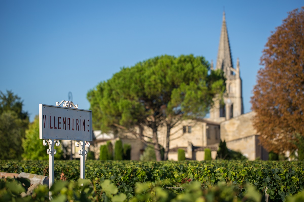 wine tourism with Winetourbooking