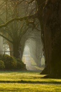 entrance-chateau-guiraud-sauternes-wine-tourism