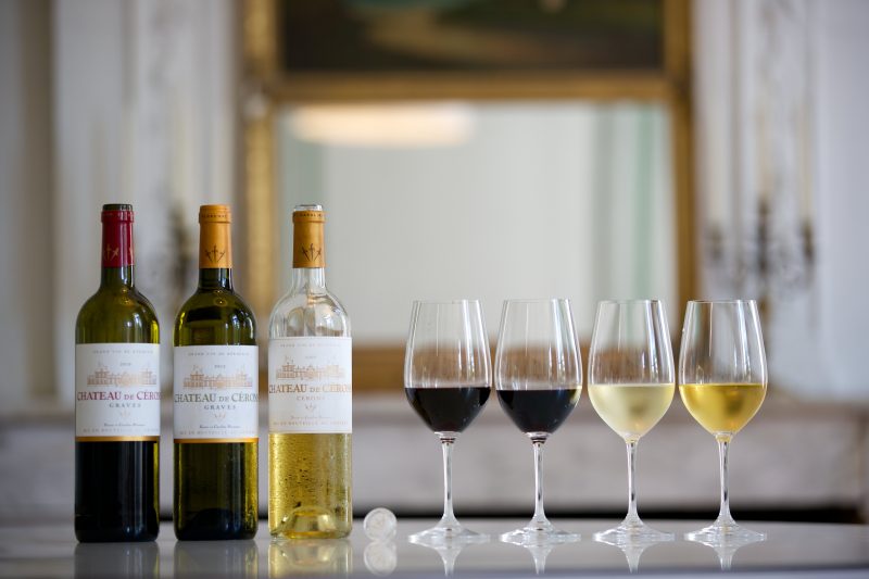 Coffret vin dégustation et découverte - Château Petit gane